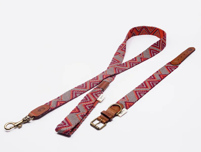 Dog Collar: Peruvian Pikes