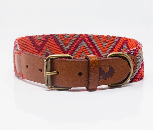 Dog Collar: Peruvian Pikes